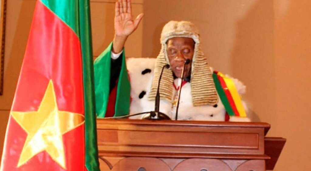 Who Really Wins Elections in Cameroon — The People or the Constitutional Council?