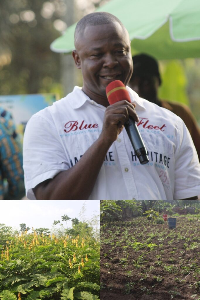 Cha Cha Company Ltd: Reawakening Africa’s Healing Roots Through Innovation and Visionary Leadership Cha Cha Company Ltd: Reawakening Africa’s Healing Roots Through Innovation and Visionary Leadership